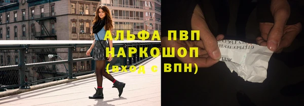 СК Новокубанск