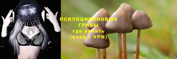 синтетический гашиш Новозыбков
