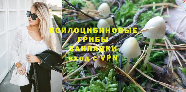 прущая мука Новодвинск