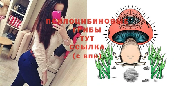 прущая мука Новодвинск